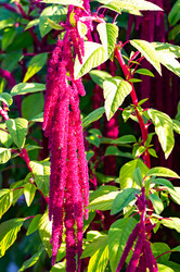 Similar image 22199025