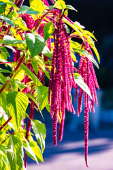 Similar image 22199026