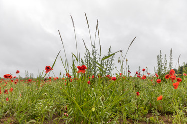 Similar image 22210452