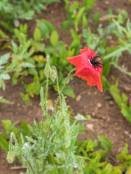 Similar image 22210453