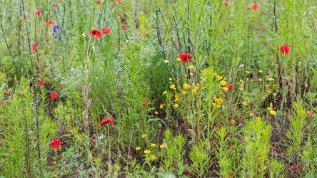 Similar image 22210454