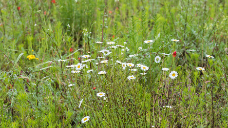 Similar image 22210455