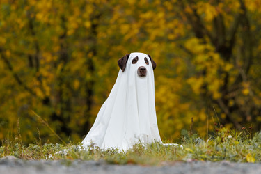 Similar image 22207781