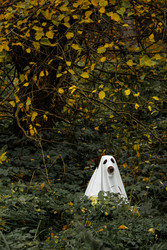 Similar image 22207782