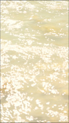 Similar image 22207783