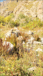 Similar image 22207784