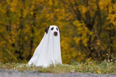 Similar image 22207785