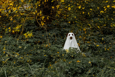 Similar image 22207786