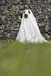 Similar image 22207899