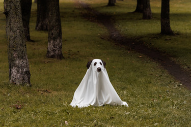 Similar image 22207900