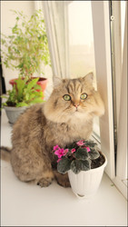 Similar image 22207901