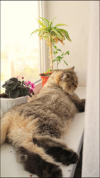 Similar image 22208266