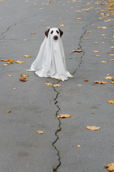 Similar image 22208267