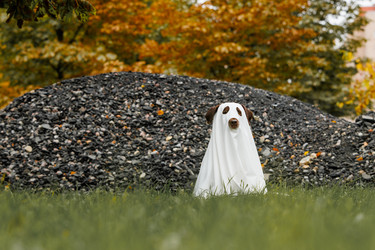 Similar image 22208268