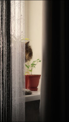 Similar image 22208269