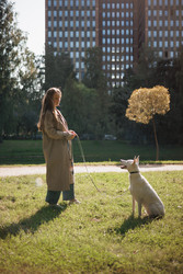 Similar image 22208272