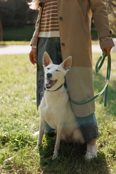 Similar image 22208274