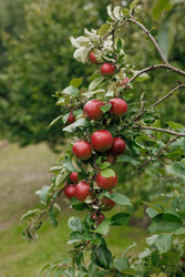 Similar image 22208275