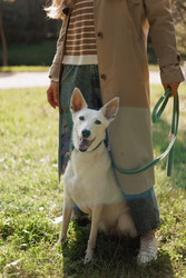 Similar image 22208281