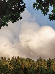 Similar image 22208282