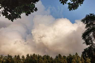 Similar image 22208283