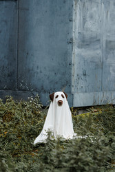 Similar image 22208284