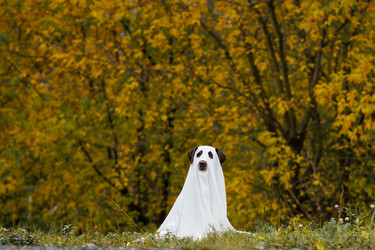 Similar image 22208287