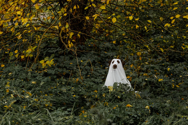 Similar image 22208288