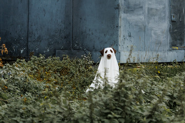 Similar image 22208290