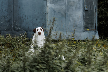 Similar image 22208292