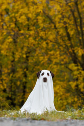 Similar image 22208295