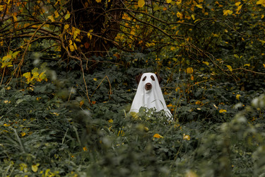 Similar image 22208296