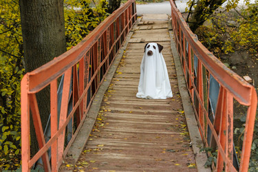 Similar image 22208299