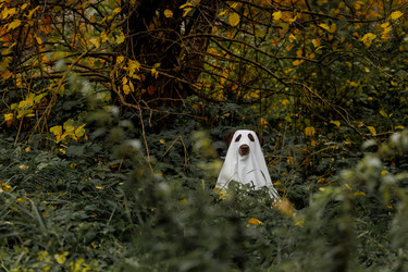 Similar image 22208300