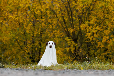 Similar image 22208425