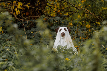 Similar image 22208426