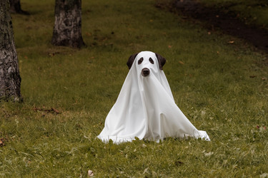 Similar image 22208427