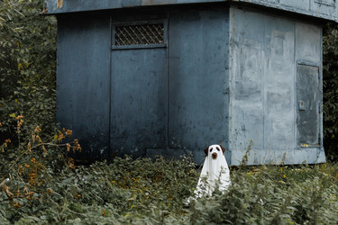 Similar image 22208428