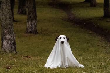 Similar image 22208429