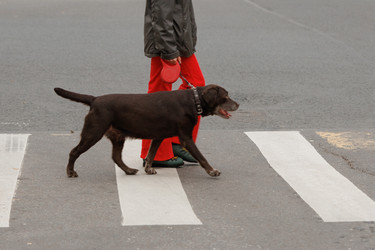 Similar image 22208430