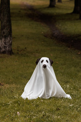 Similar image 22208431