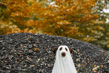 Similar image 22208432