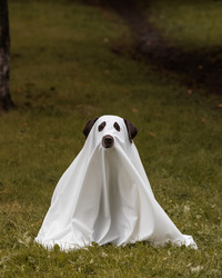 Similar image 22208433