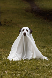 Similar image 22208435