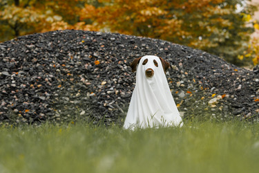 Similar image 22208436