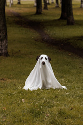 Similar image 22208437