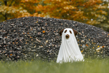 Similar image 22208438