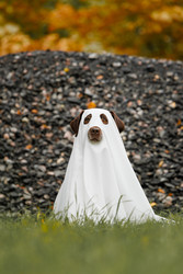 Similar image 22208440