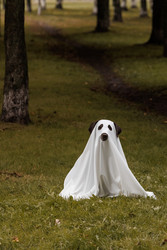 Similar image 22208441