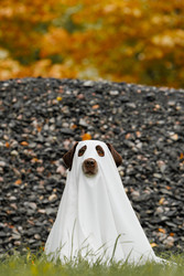 Similar image 22208442